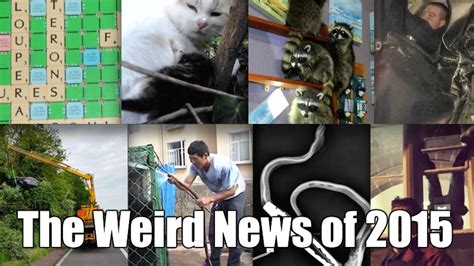 strange news from around the world